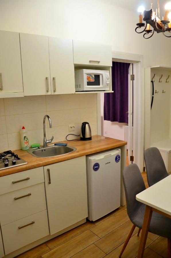 Brand New Apartment In City Center Lwów Zewnętrze zdjęcie